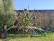 Claas LINER 2900