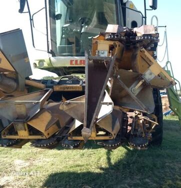 Dominoni 6 FILE - 70 3