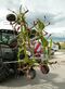 Claas VOLTO 900
