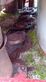10092-b993d085a9e9d9b713c483af1a9b0f06-5652003