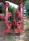 Maschio AQUILA RAPIDO 5000 