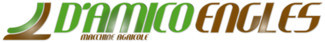 D'AMICO ENGLES SRL