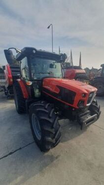 Same Dorado 80 Natural 3