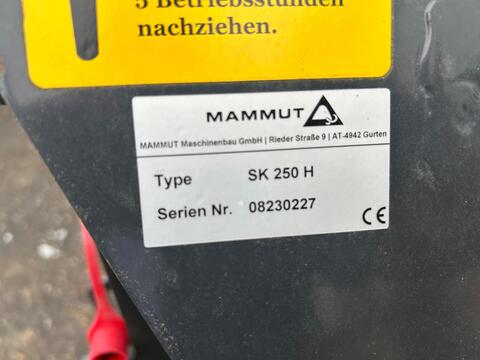 10137-f41a9e7cb6b6e86e08d62244e6f643c2-6091802
