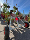 Claas Volto 870 T