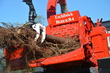 Eschlböck Biber 84