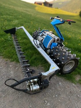 Brielmaier 29 EFI