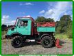 Mercedes Unimog U1000 mit Werner Forstausrüstung  