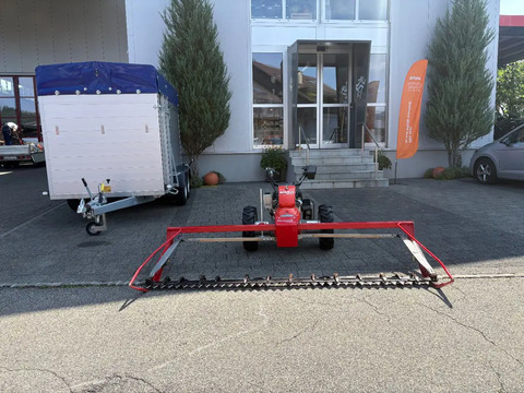 Rapid BM260
