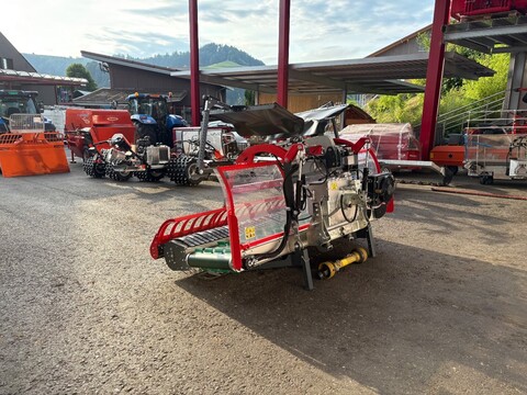 Sonstige 250