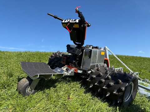 Eigenbau Trittbrett-Roller