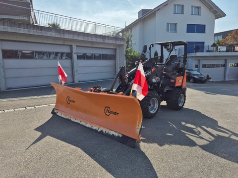 Hauer HSh 2800