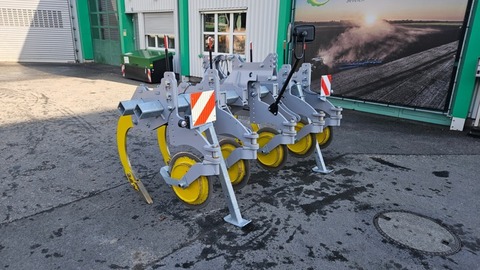 Sonstige Löwenzahn