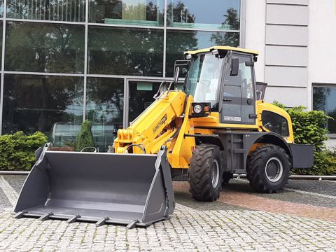 Sonstige Günstig 916T Teleskop-Radlader 1600 kg Tragkraft