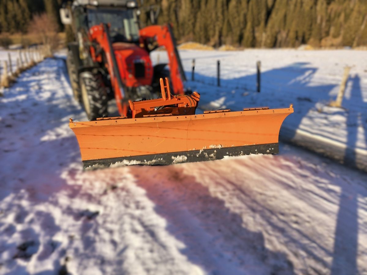 Deleks Schneepflug LN 250E 1
