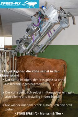 Pöchacker Kuhkomfort Speed FIX