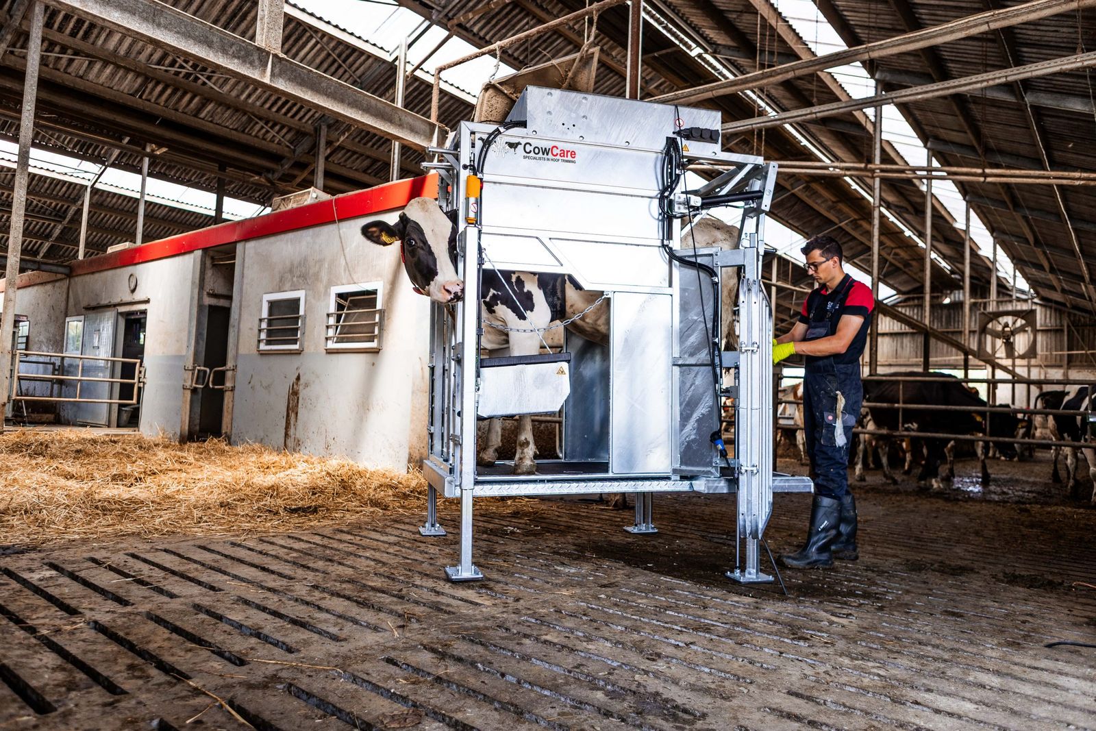 CowCare DAIRY+LUX LIFT 2