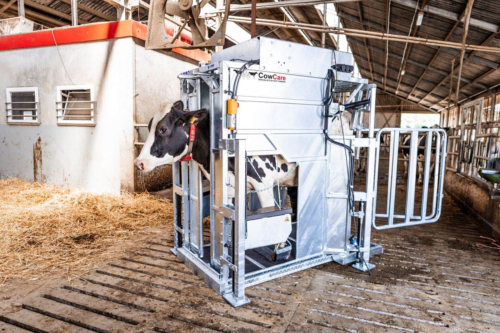 CowCare DAIRY+LUX LIFT 3