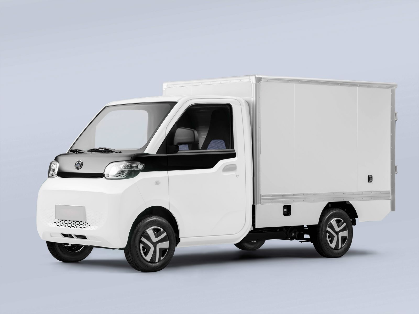 Klein LKW HUDSON eBUDDY Cargo 2