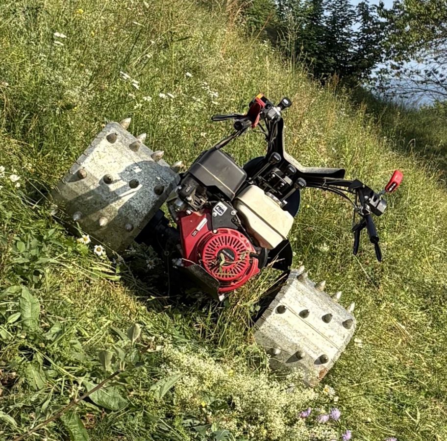 Alpiner Stachelwalzen KBD-574-350 2