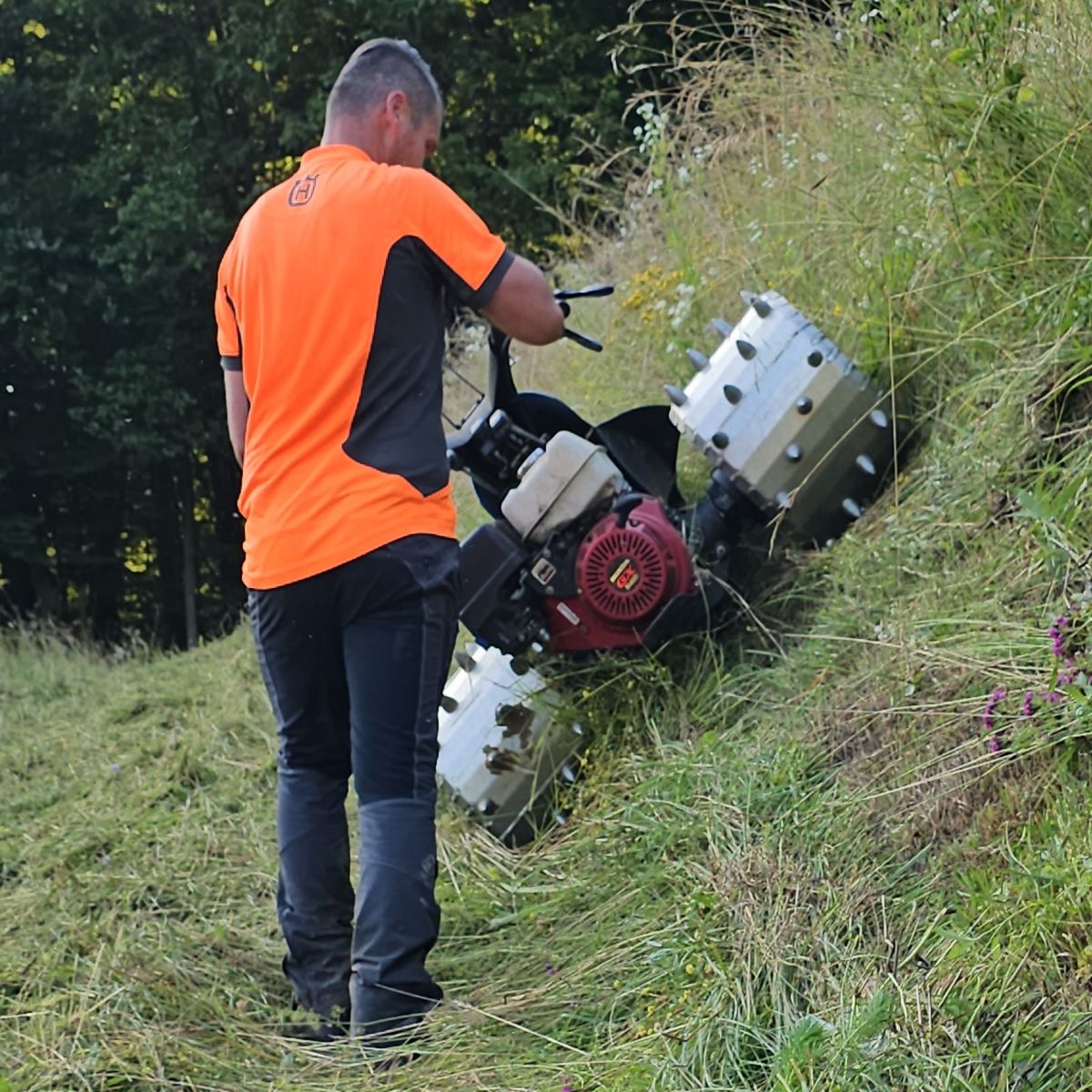 Alpiner Stachelwalzen KBD-574-350 3