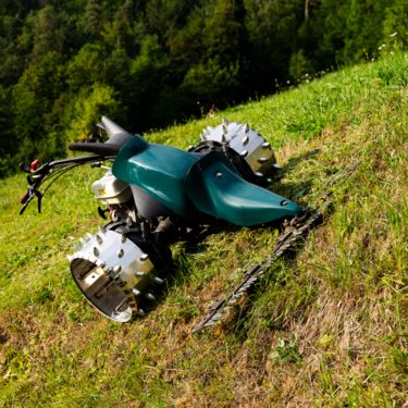 Sonstige Alpiner Stachelwalzen KBH-574-230