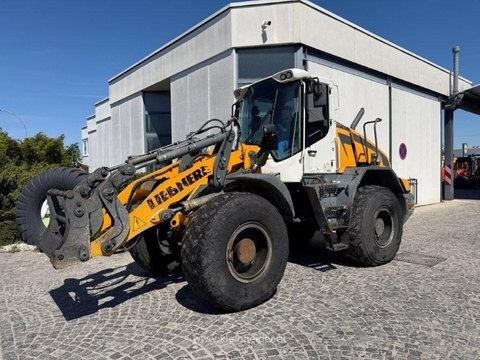 Liebherr L 542 + SW