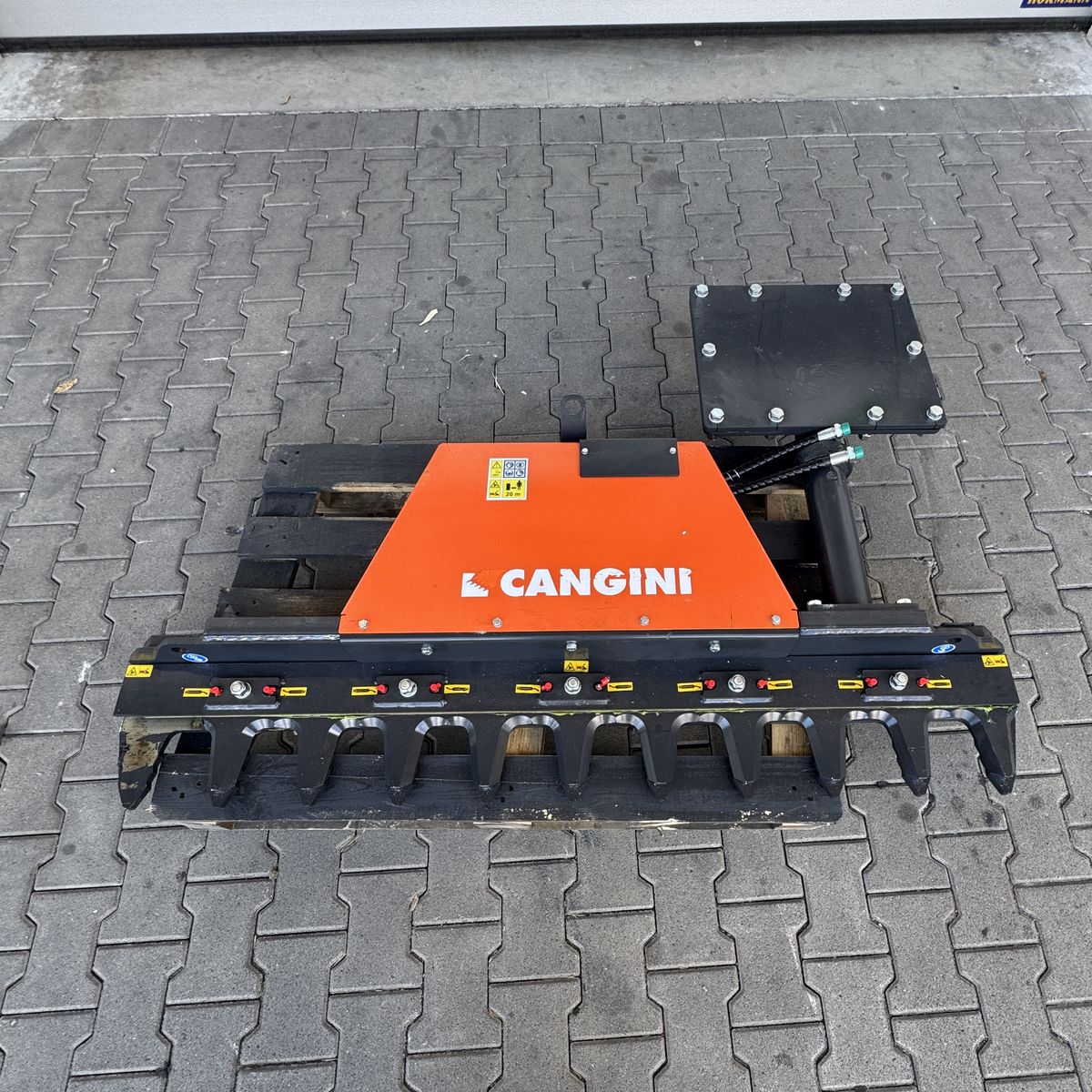 Cangini Cangini Benne BTC100-160 Astschere 4-14t Bagger 2