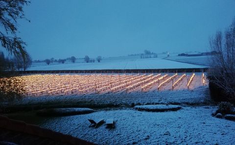 Sonstige FroLight® Infrarot-Frostschutzsystem