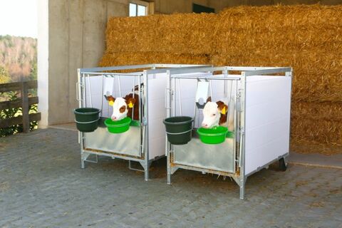 Kerbl Kälberbox klein, 130x85cm Innenmaß