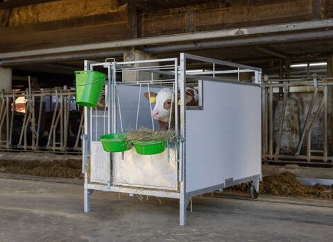 Kerbl Große Premium Kälberboxen, Kälberbox mit Schwenk