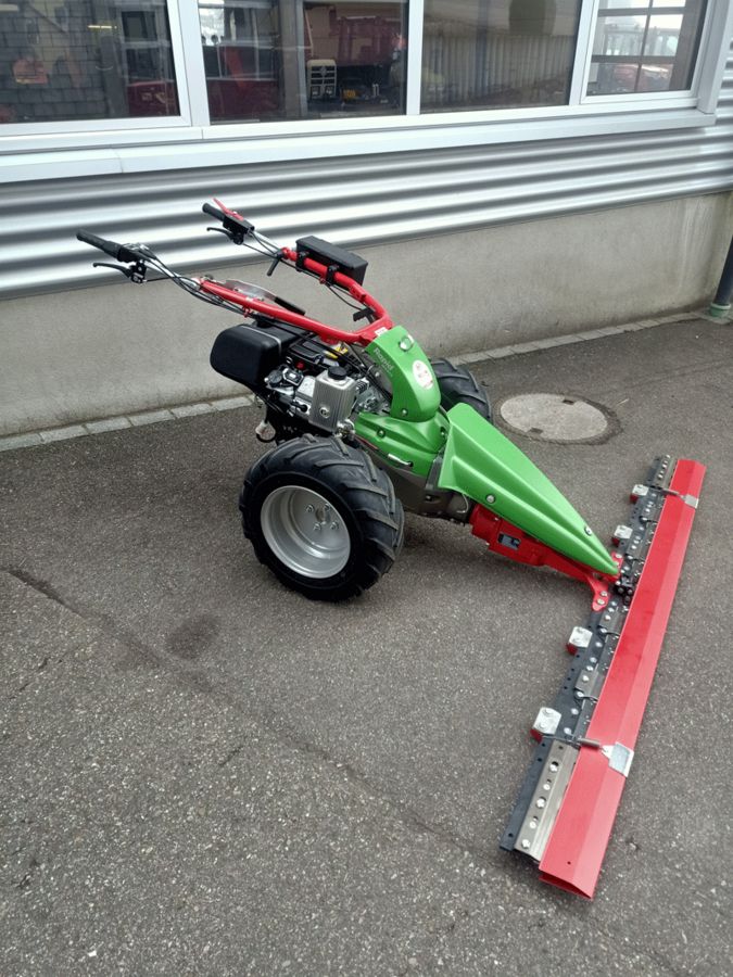 Rapid Monta M 141  2