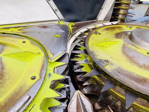 Claas Orbis 600 - gebrauchtes Maisgebiss / Maisvorsatz