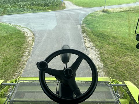 Claas Jaguar 950