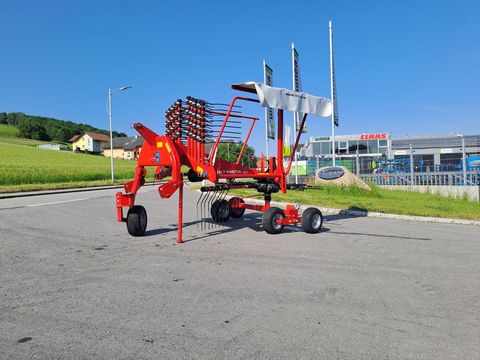 Lely Hibiscus 425 S