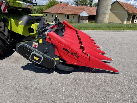 Capello Quasar Maispflücker R5-R9 klappbar/ F4-F8 starr