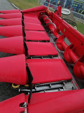 Capello Quasar R6 - gebrauchter Maispflücker (6 Reihig)