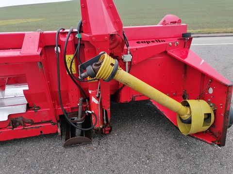 Capello Quasar R6 - gebrauchter Maispflücker (6 Reihig)