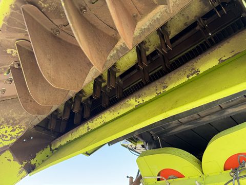 Claas Lexion 460 - Maisausrüstung