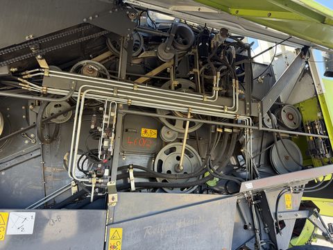Claas Lexion 460 - Maisausrüstung
