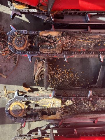 Capello Quasar R6 - gebrauchter Maispflücker