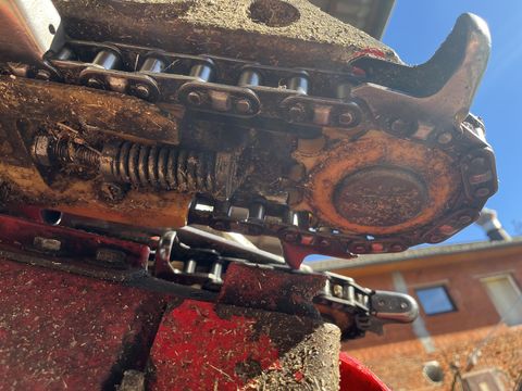 Capello Quasar R6 - gebrauchter Maispflücker