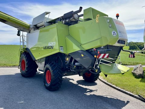 Claas LEXION 620 - (gebrauchter LEXION 600)