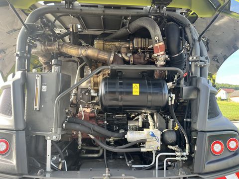 Claas JAGUAR 950 - Shredlage -gebrauchter Feldhäcksler