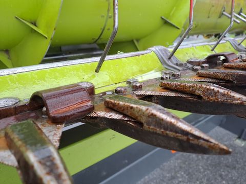 Claas Vario 560 - gebrauchtes Schneidwerk 5,6m