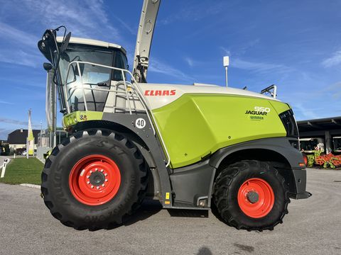 Claas JAGUAR 950 - (gebrauchter JAGUAR 900)