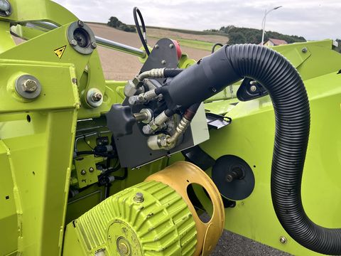 Claas Conspeed 6-70 FC - gebrauchter Maispflücker
