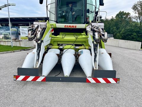 Claas Conspeed 6-70 FC - gebrauchter Maispflücker