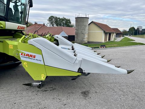 Claas Conspeed 6-70 FC - gebrauchter Maispflücker