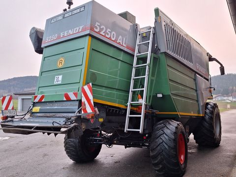 Fendt 5250 Auto-Level ALLRAD (Gebrauchter Mähdrescher)